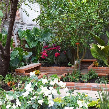 Capital O Casa Rotter Hotel San Cristóbal de Las Casas Eksteriør billede